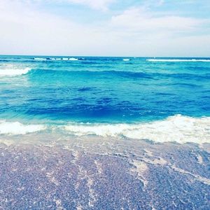 Meet your Posher, Dayna